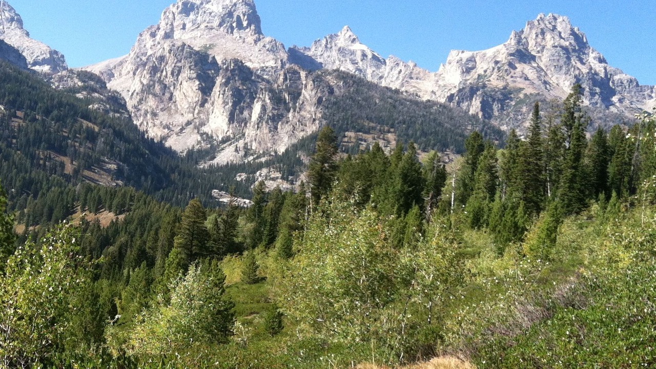 Photo of Outdoor in Moose Wilson Road