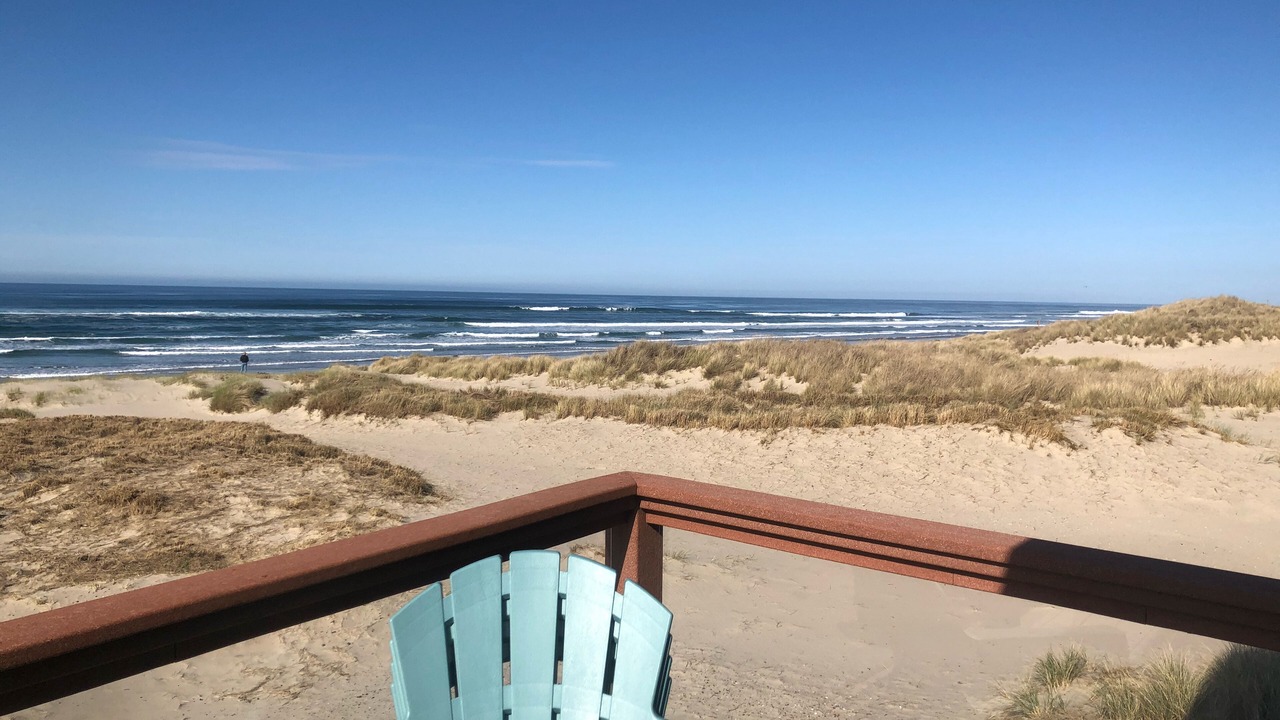 Photo of Others in Bayshore