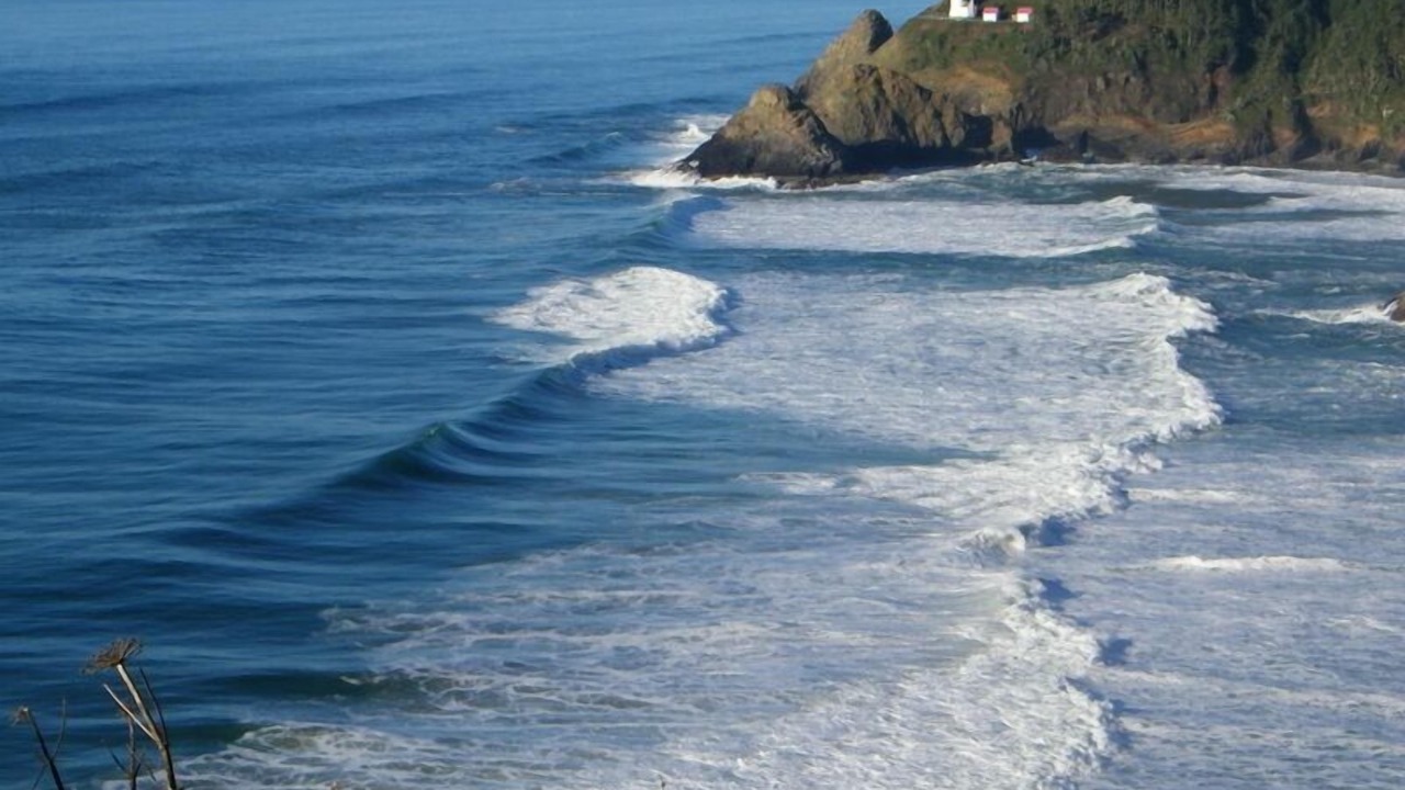 Photo of Others in Bayshore