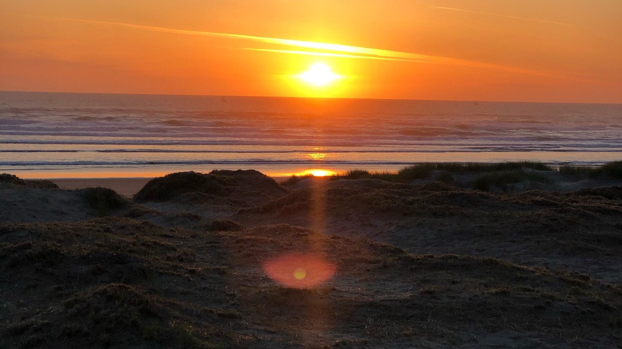 Photo of Others in Bayshore