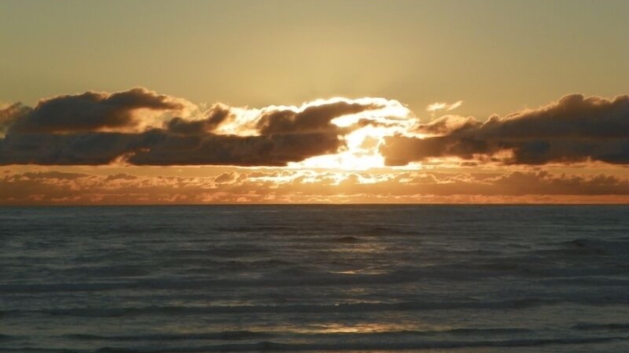 Photo of Others in Bayshore