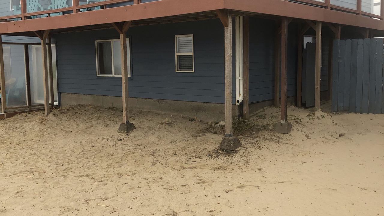 Photo of Others in Bayshore