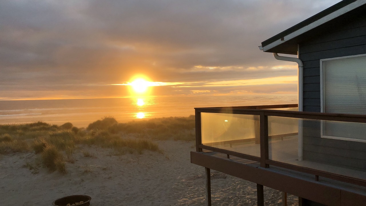 Photo of Others in Bayshore