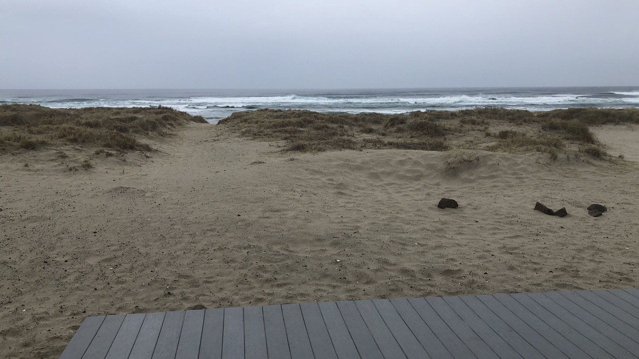 Photo of Others in Bayshore