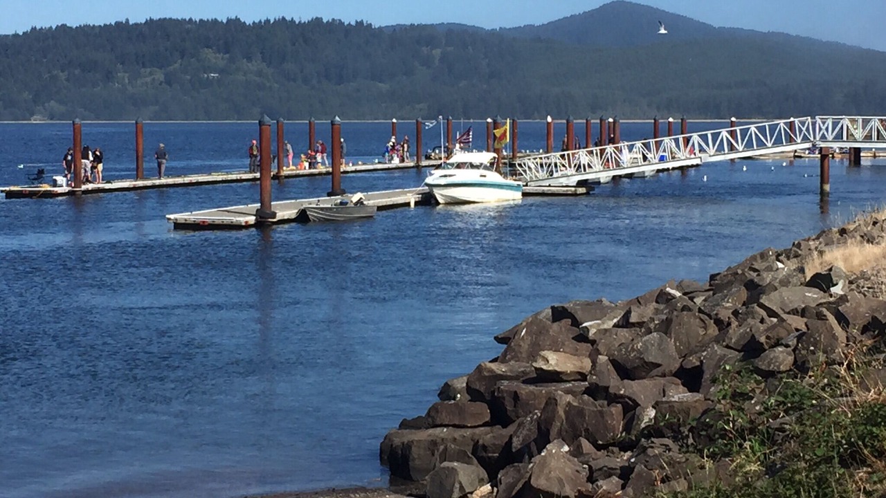 Photo of Others in Bayshore