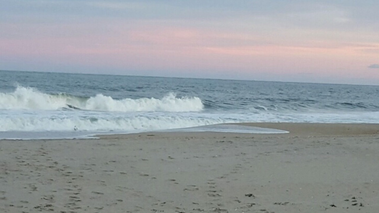 Photo of Others in Midtown Ocean City