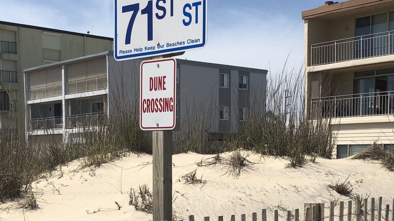 Photo of Others in Midtown Ocean City