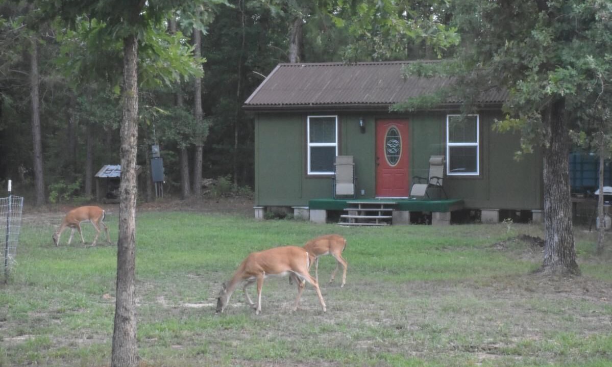Photo of Outdoor in Kennard
