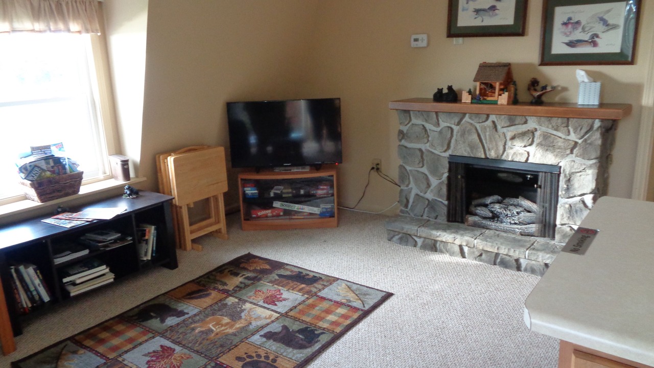 Photo of Livingroom in Livonia Center