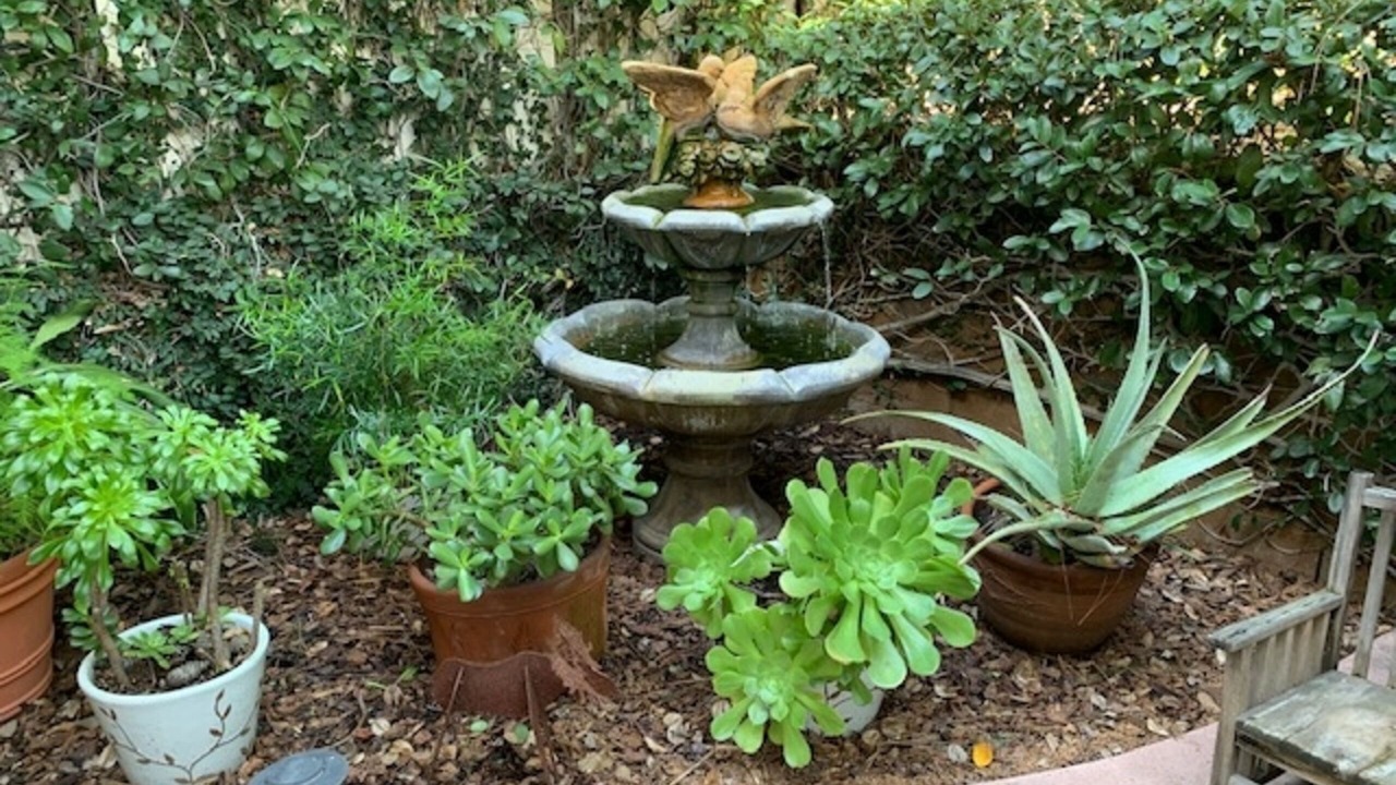 Photo of Outdoor in Carmel Valley