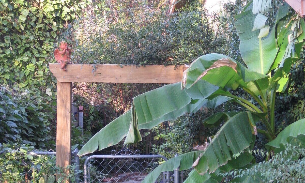 Photo of Outdoor in Barton Hills