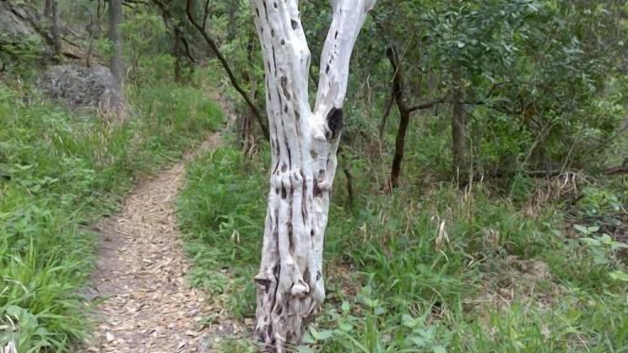 Photo of Others in Barton Hills