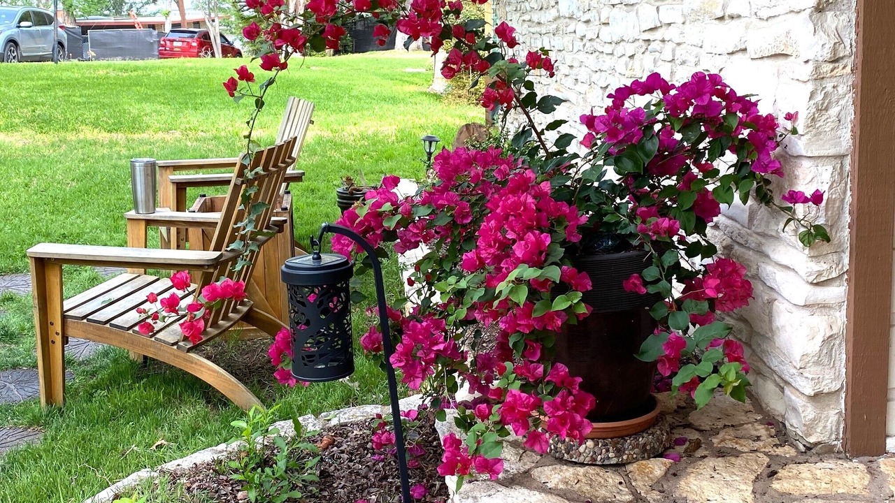 Photo of Outdoor in Barton Hills