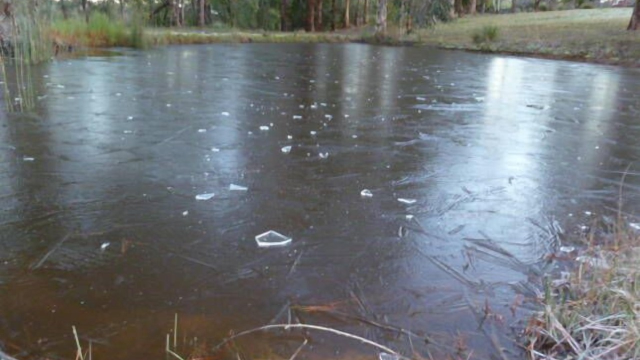 Photo of Others in Tolmie