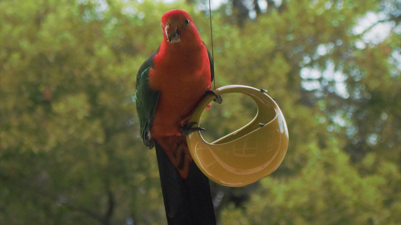 Photo of Others in Tolmie