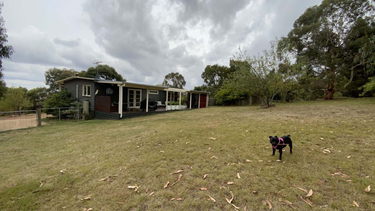 Photo of Others in Tolmie