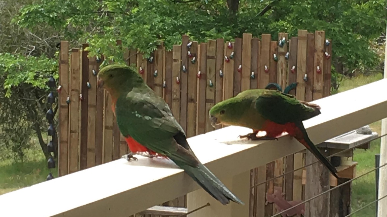 Photo of Others in Tolmie