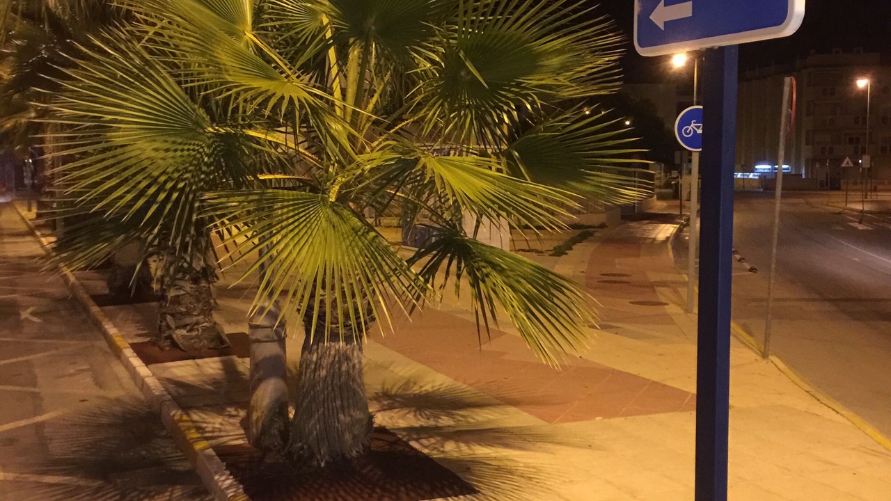 Photo of Outdoor in Orihuela Costa