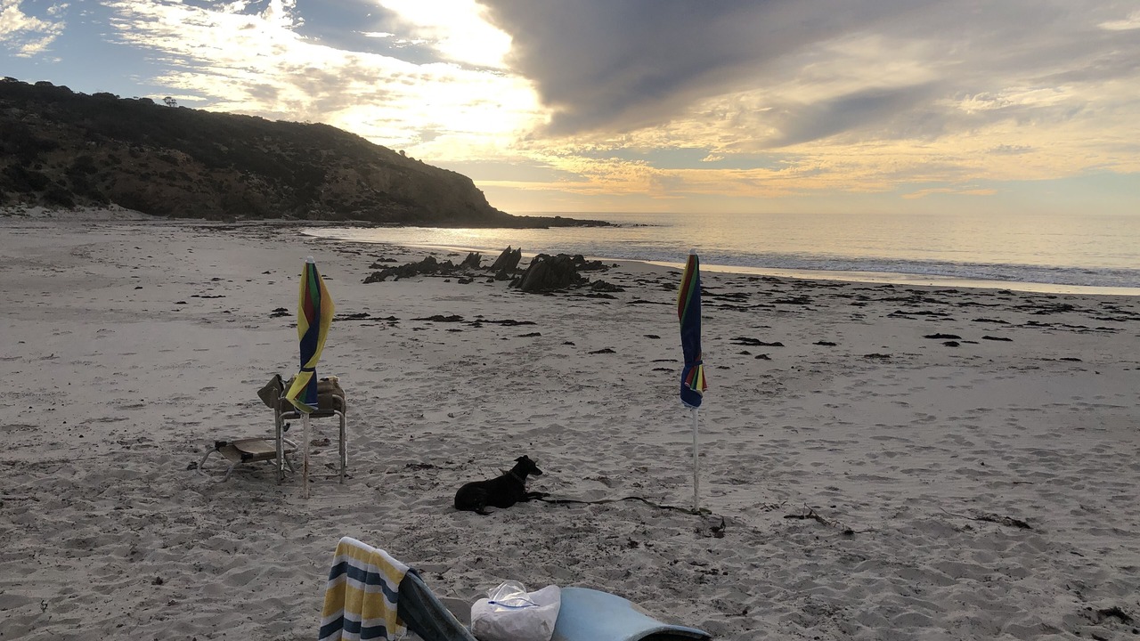 Photo of Others in Duncan