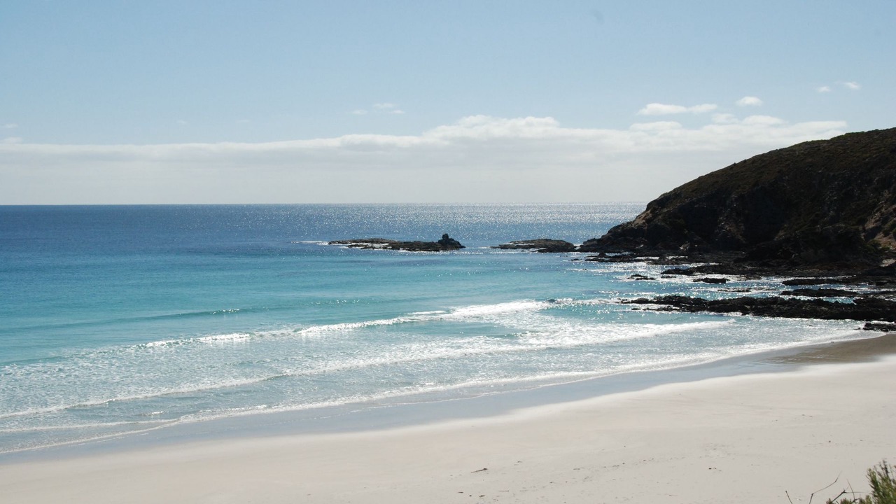 Photo of Others in Duncan