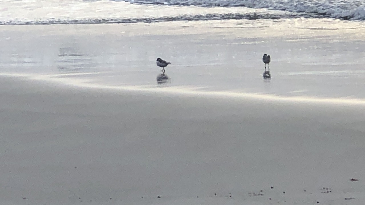 Photo of Others in Duncan