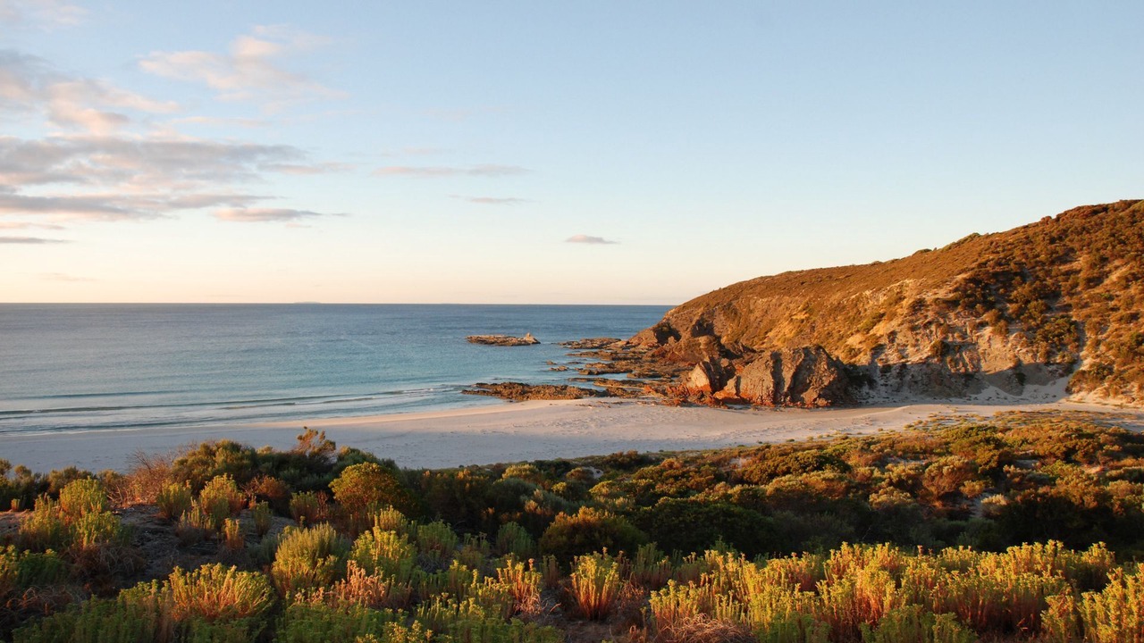 Photo of Others in Duncan