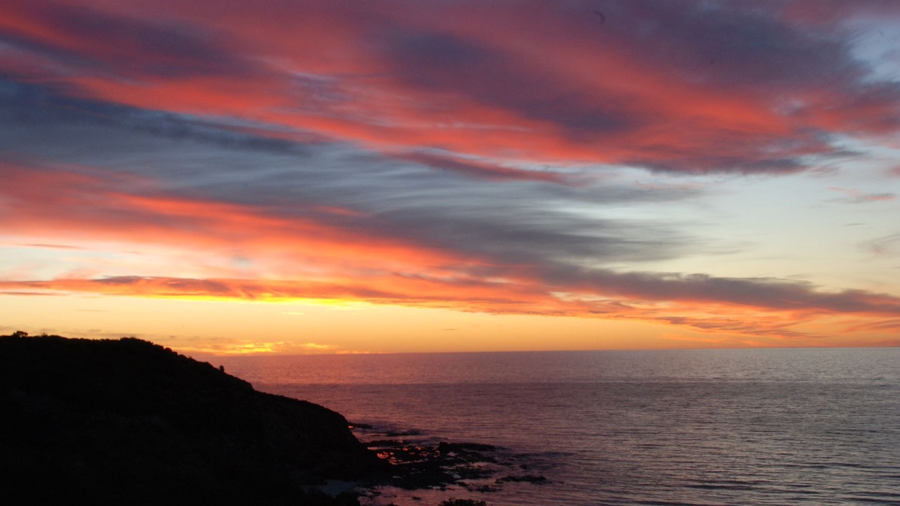 Photo of Others in Duncan