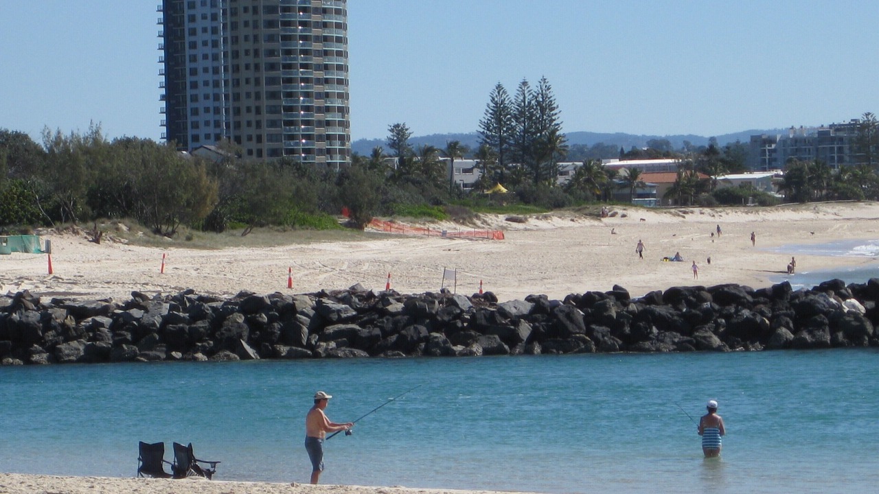 Photo of Others in Currumbin