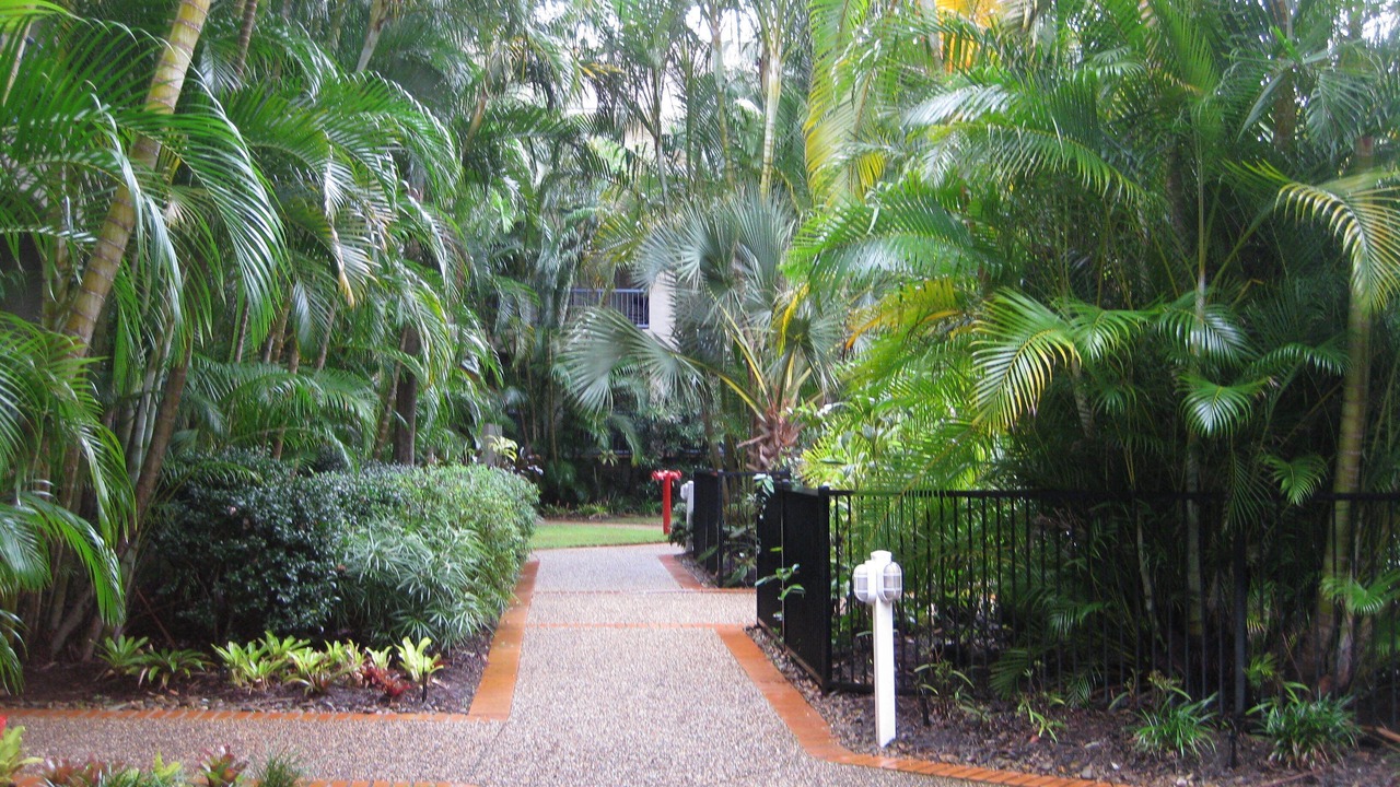 Photo of Others in Currumbin