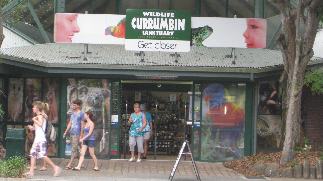 Photo of Others in Currumbin