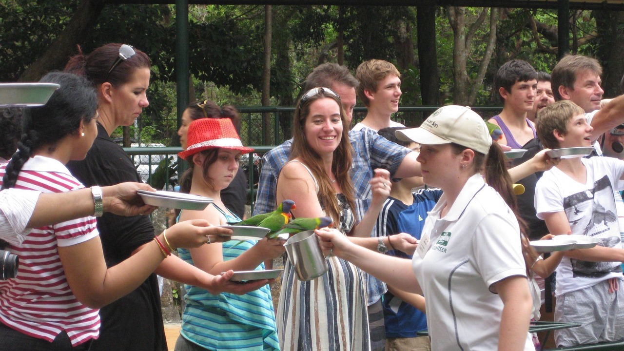 Photo of Others in Currumbin