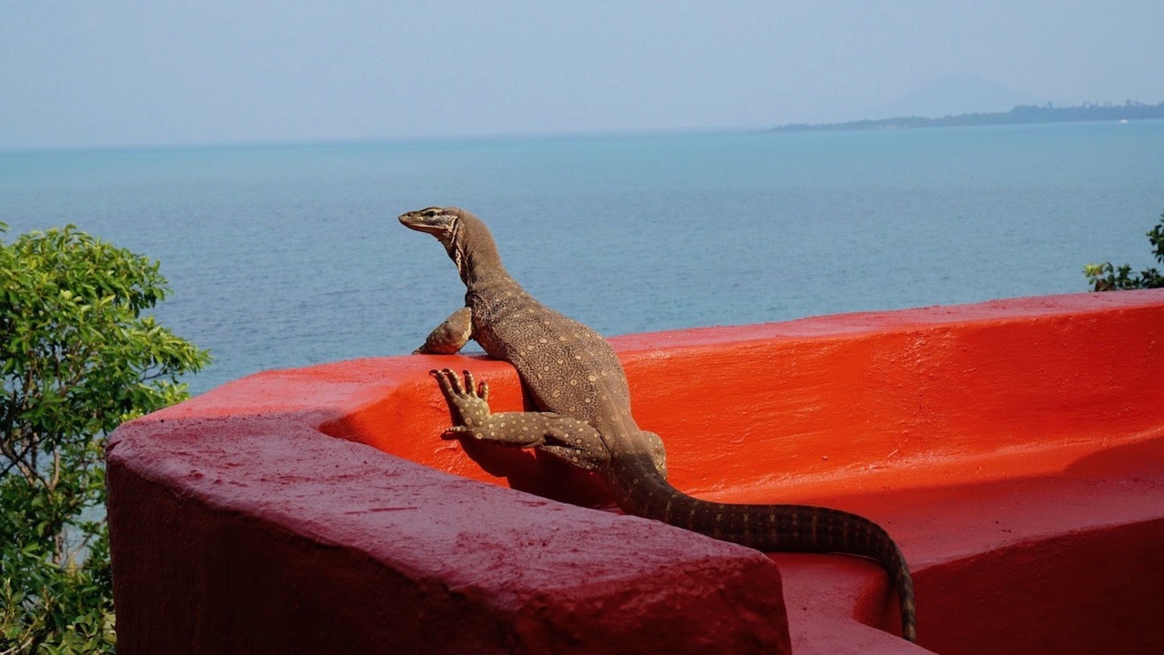 Photo of Others in Garners Beach