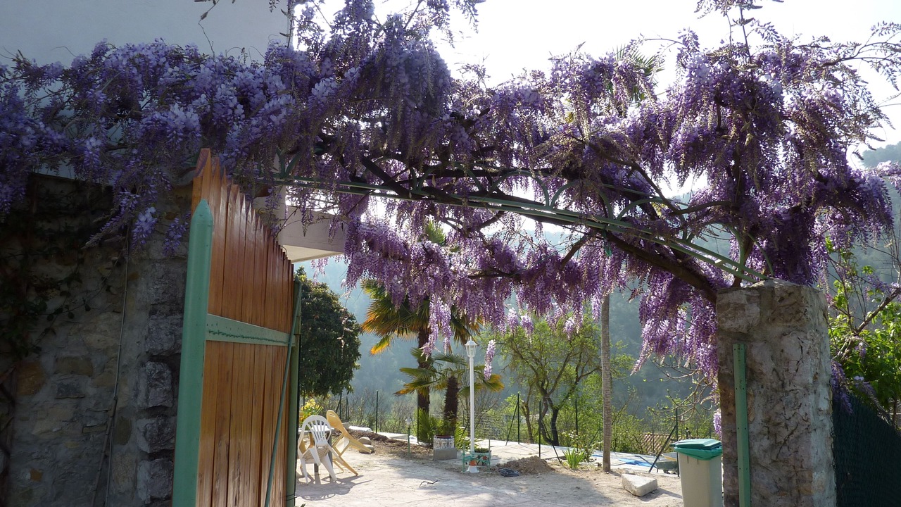 Photo of Outdoor in Cantaron