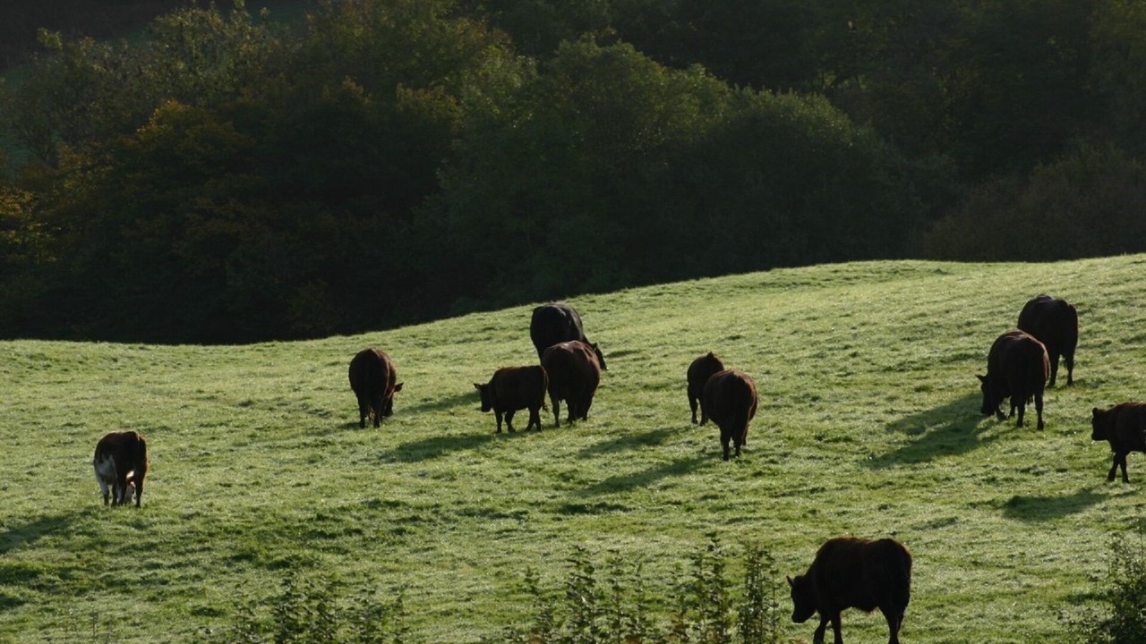 Photo of Others in Etchingham
