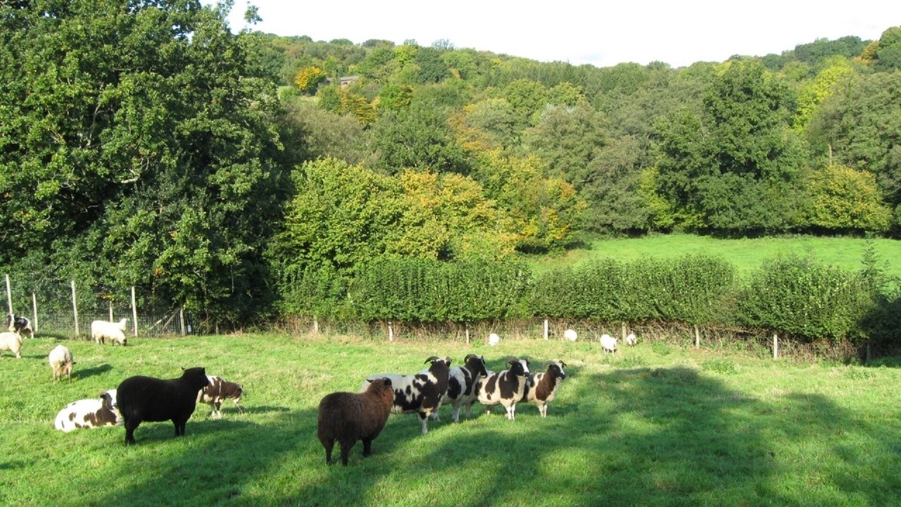 Photo of Outdoor in Etchingham