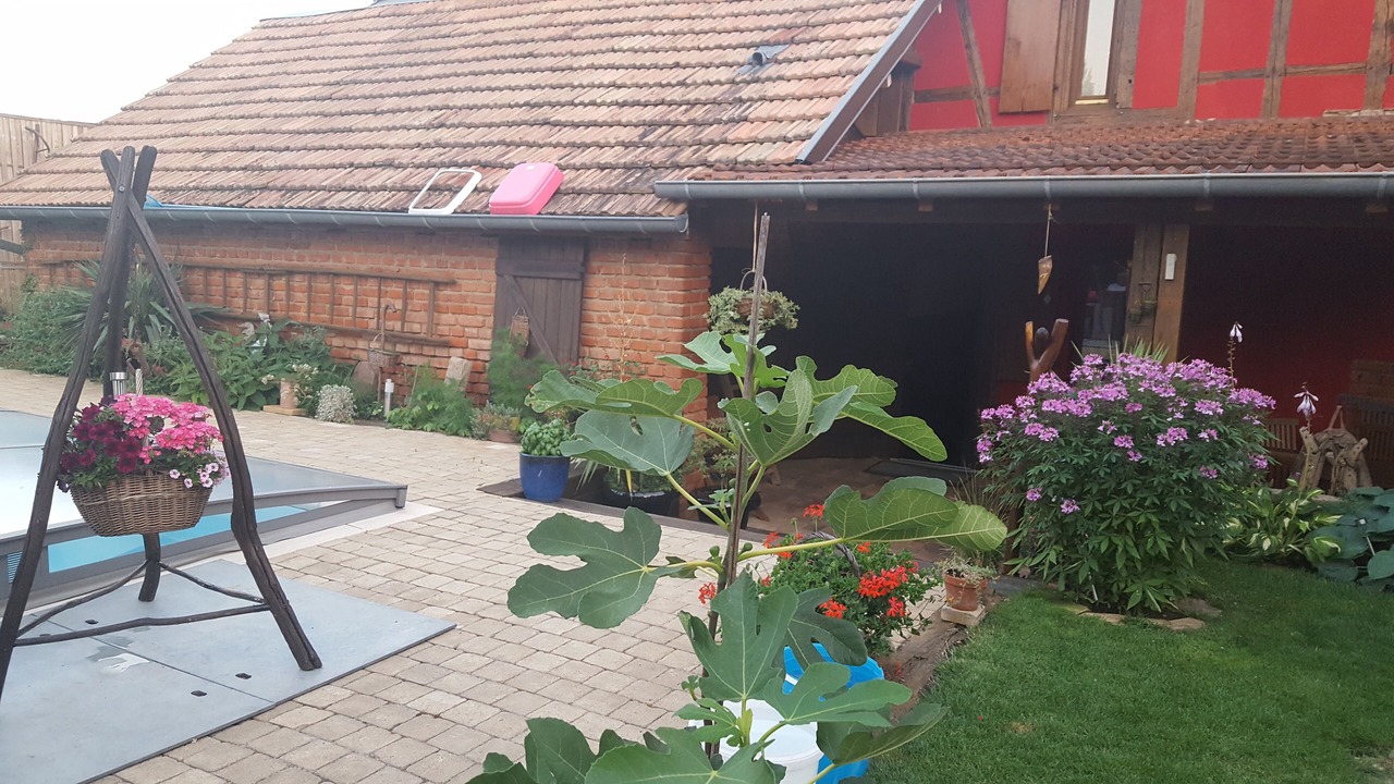 Photo of Outdoor in Olwisheim