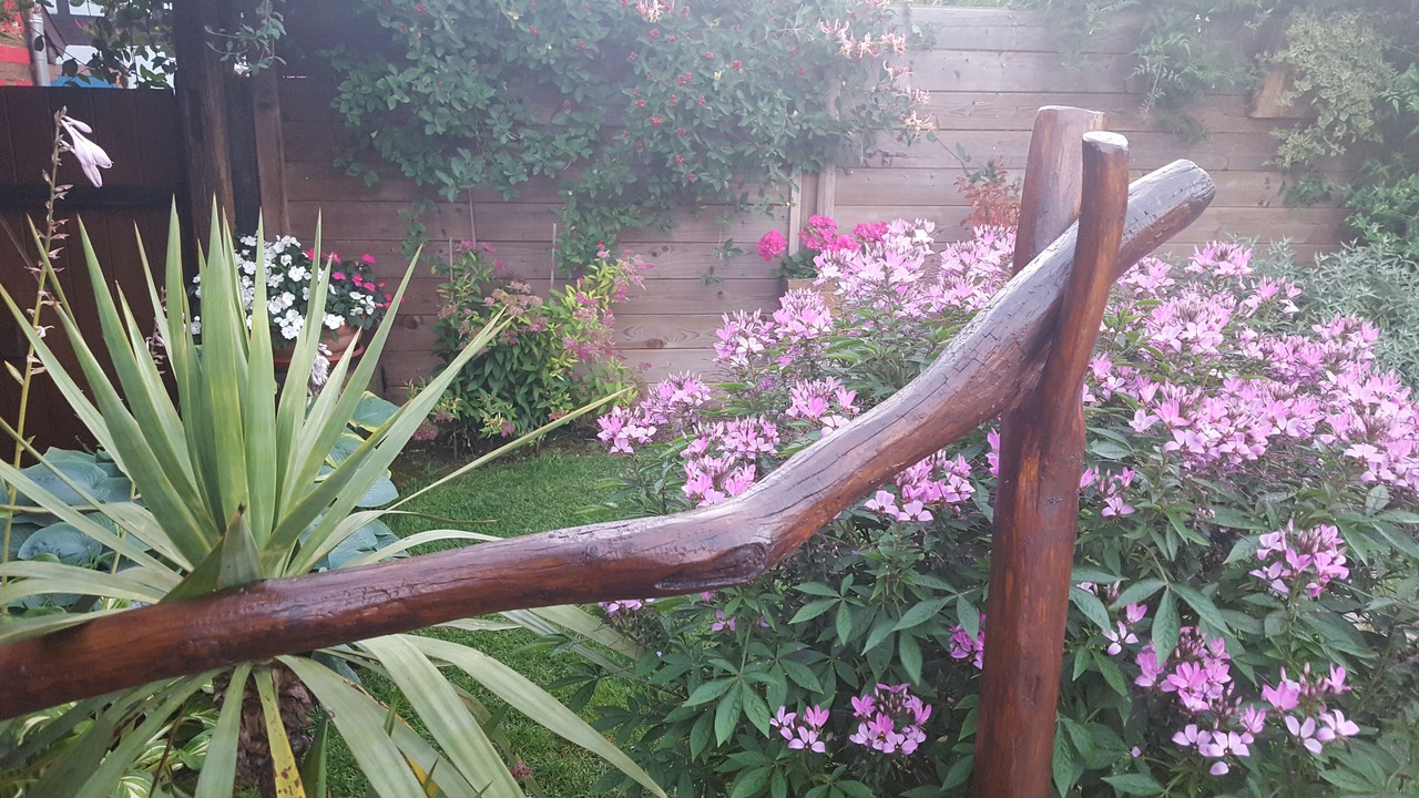 Photo of Outdoor in Olwisheim