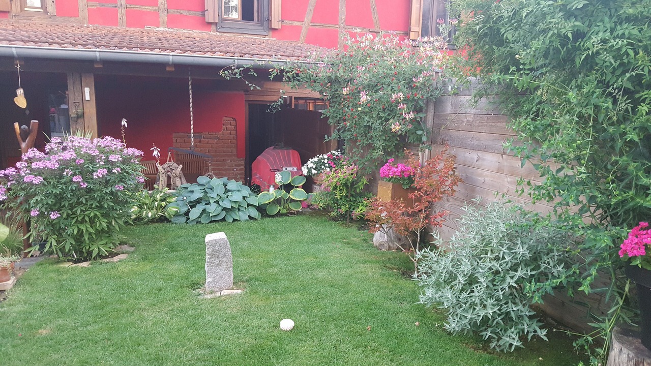 Photo of Outdoor in Olwisheim