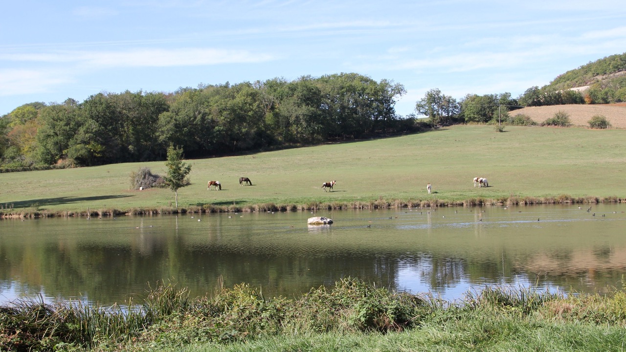 Photo of Others in Mouzieys-Panens