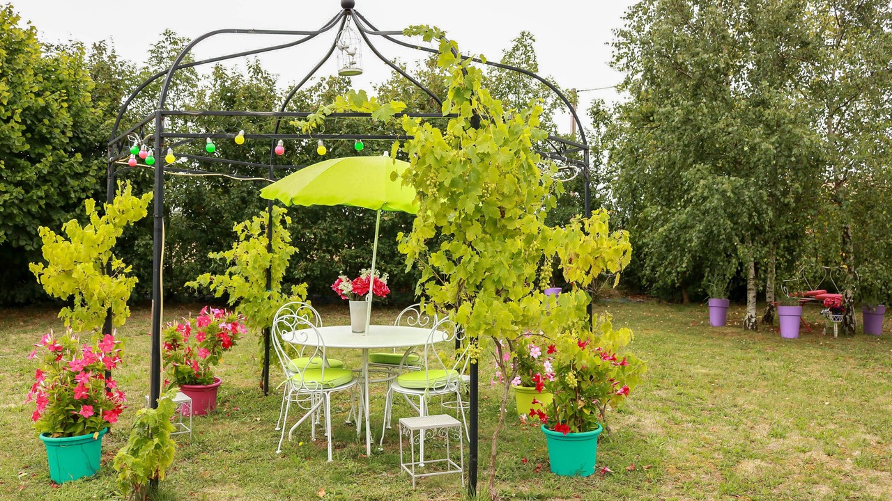 Photo of Outdoor in Calmont