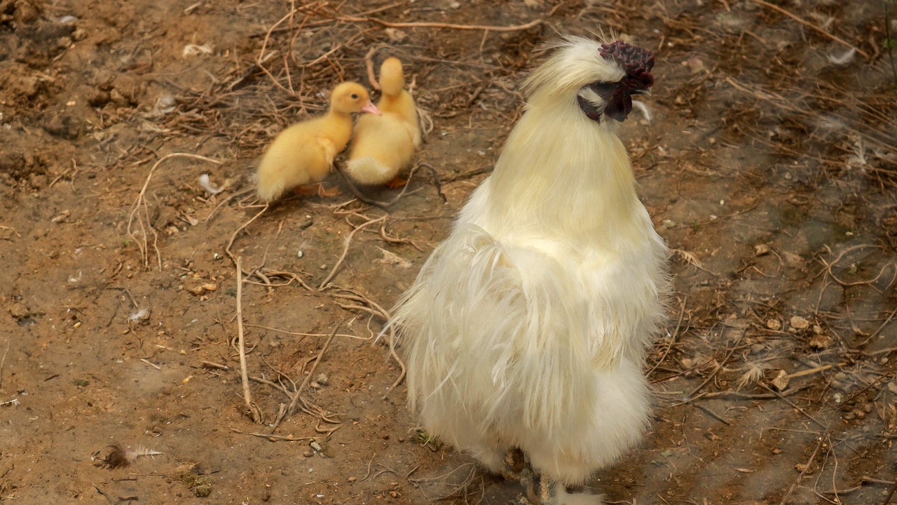 Photo of Others in Calmont