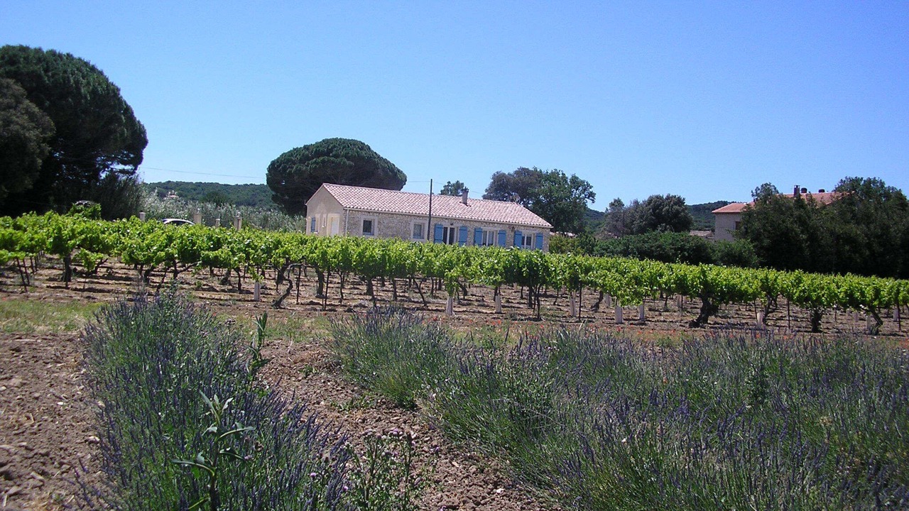 Photo of Outdoor in Rochegude