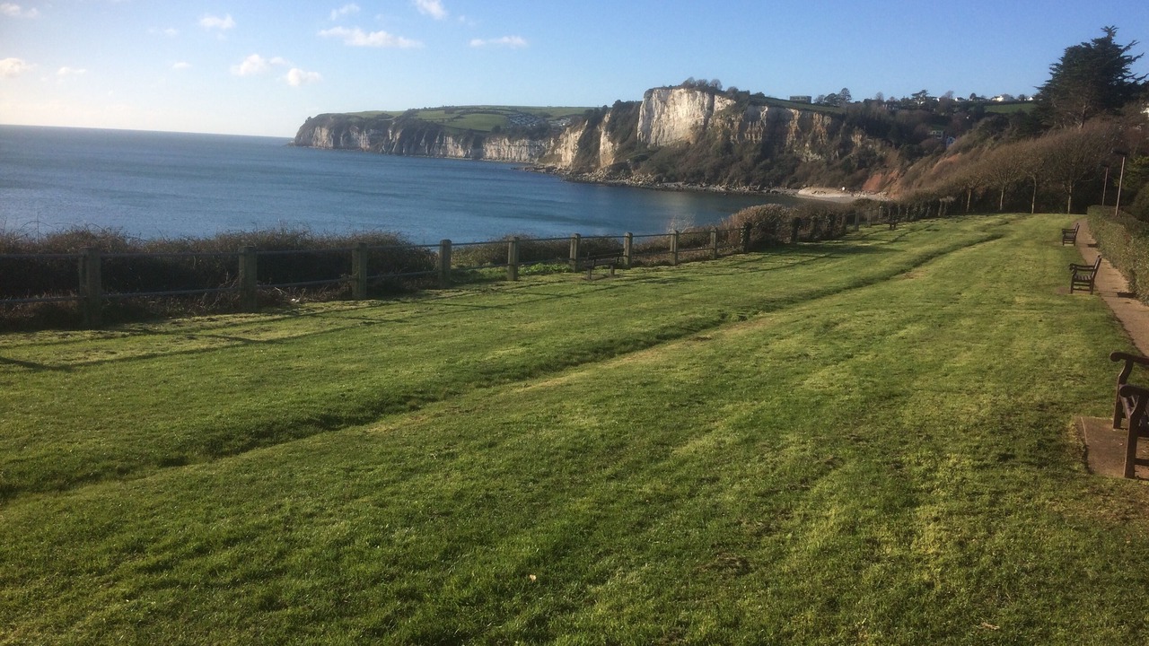 Photo of Others in Colyton