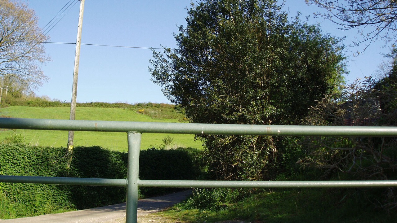 Photo of Others in Colyton