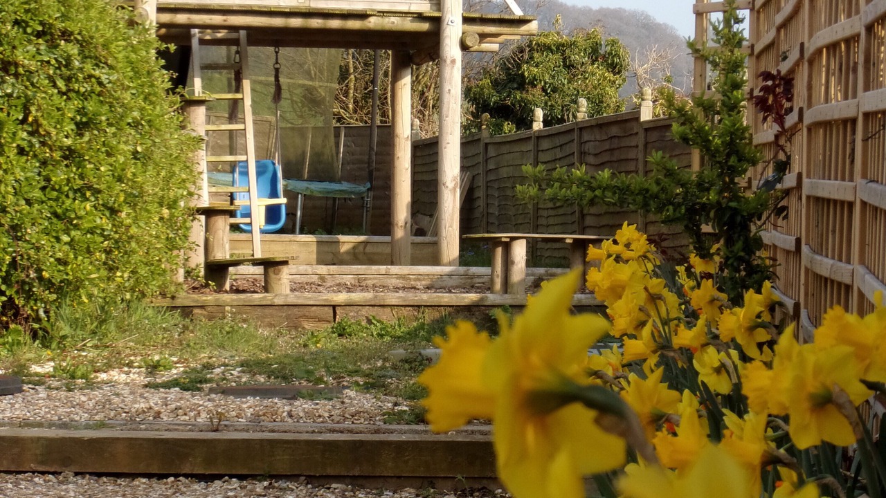 Photo of Others in Colyton