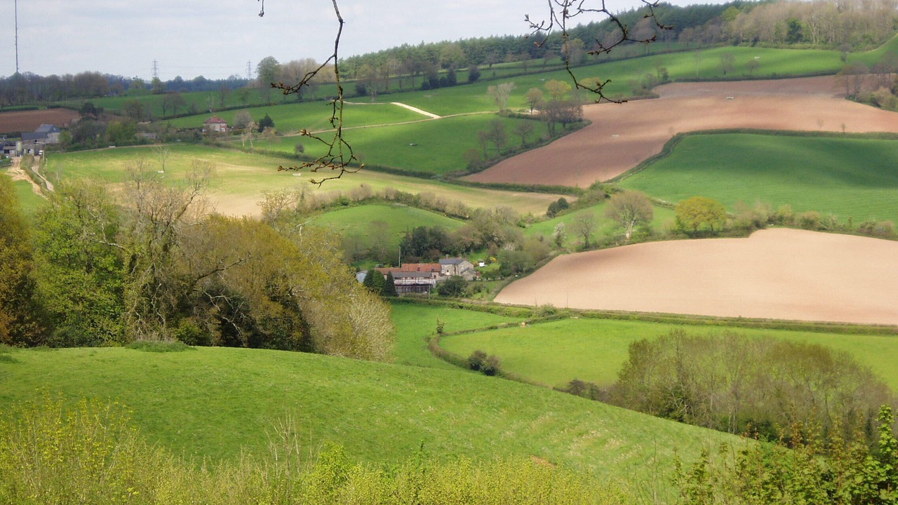 Photo of Others in Colyton