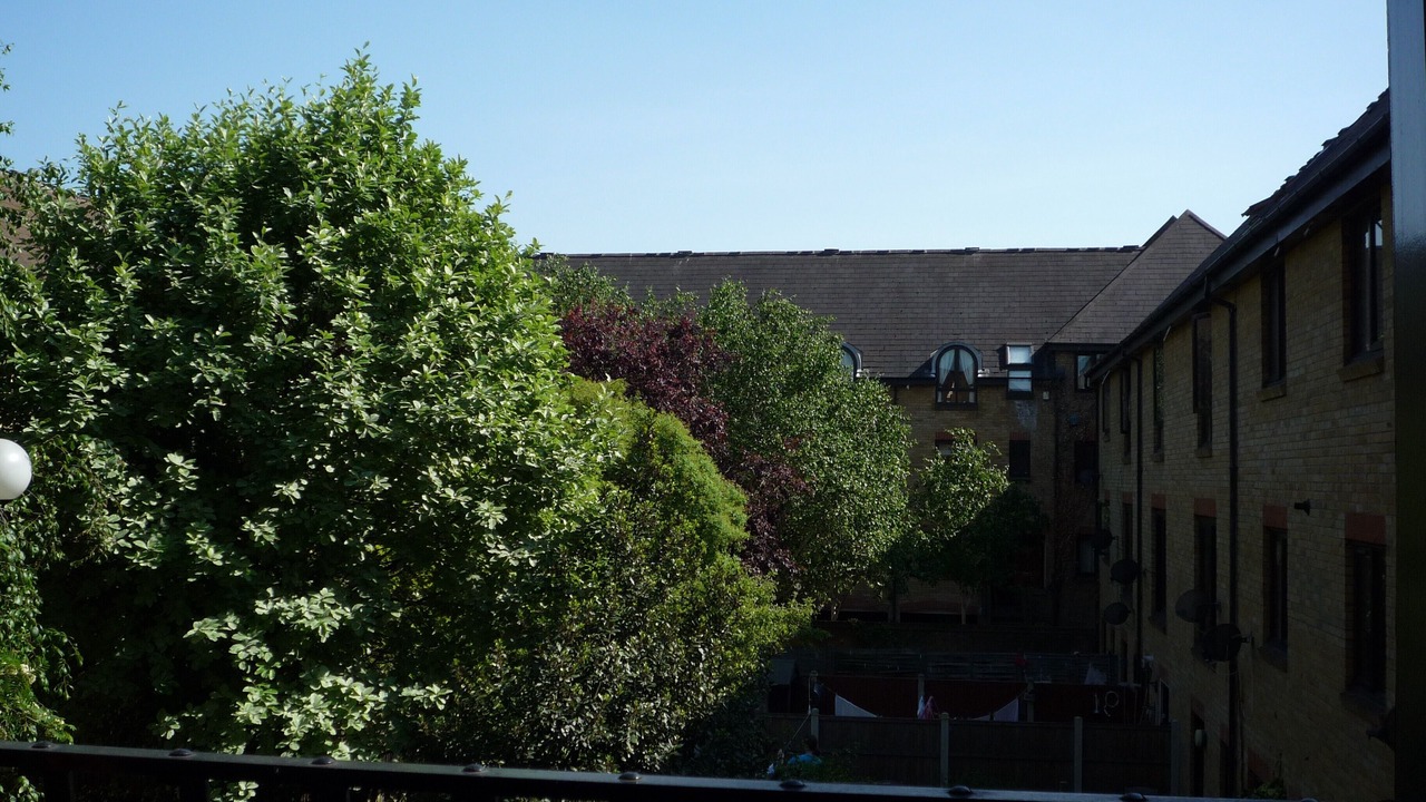 Photo of Others in Wapping