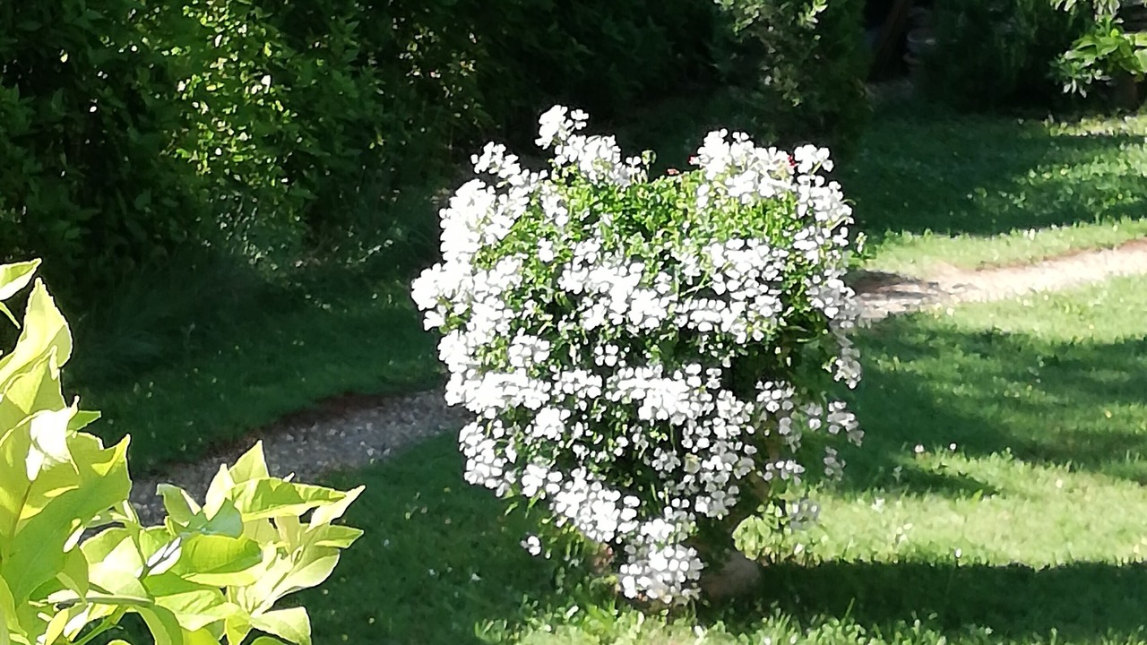 Photo of Outdoor in Rochefort-du-Gard
