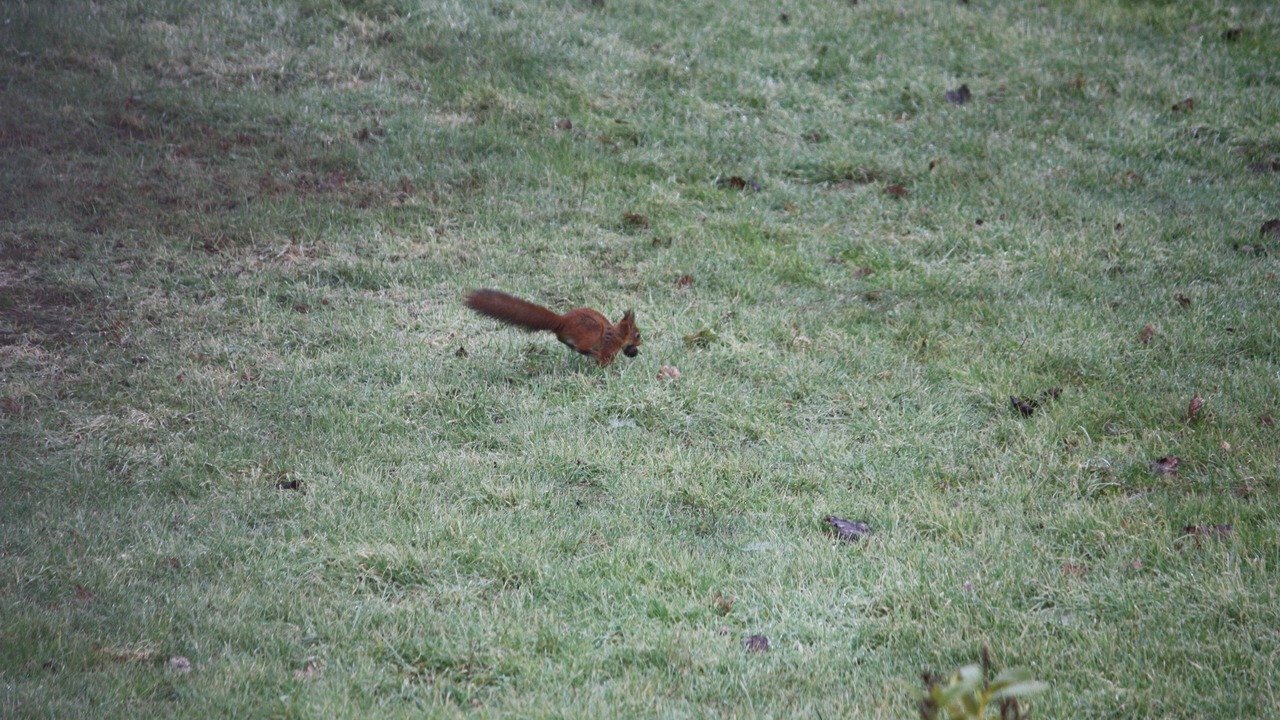 Photo of Outdoor in Mons-Boubert
