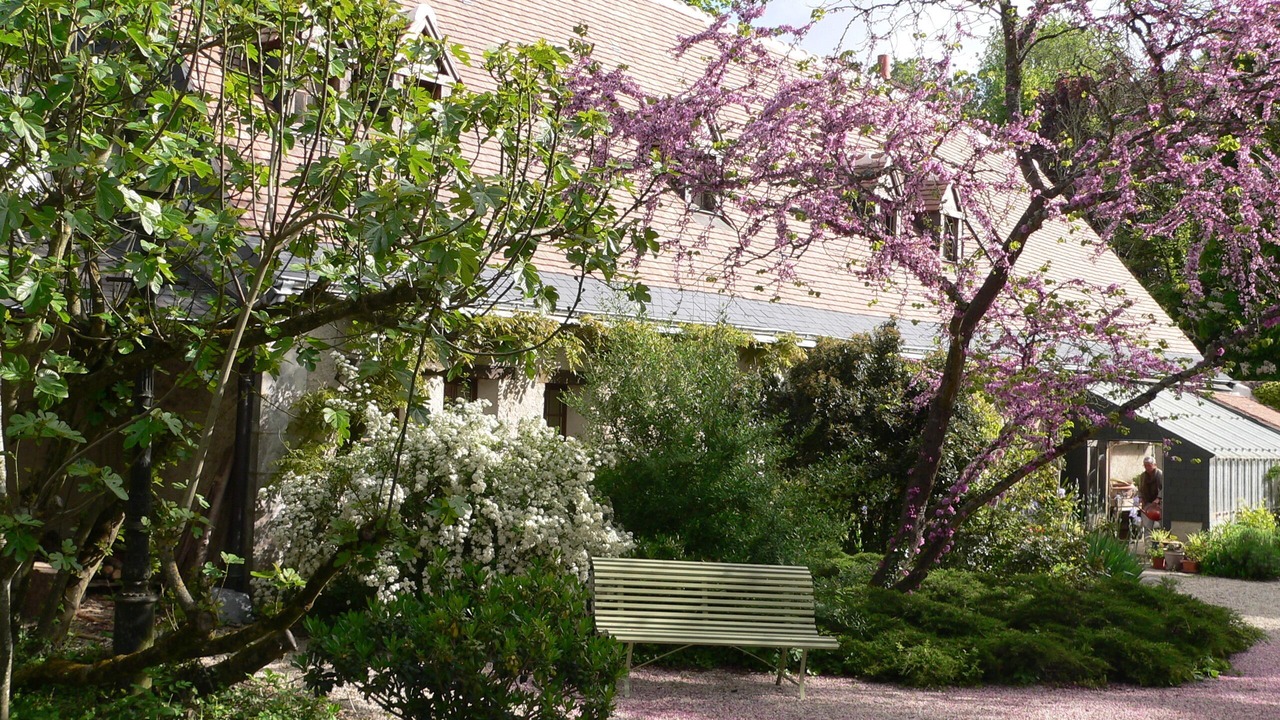 Photo of Outdoor in Joue-les-Tours